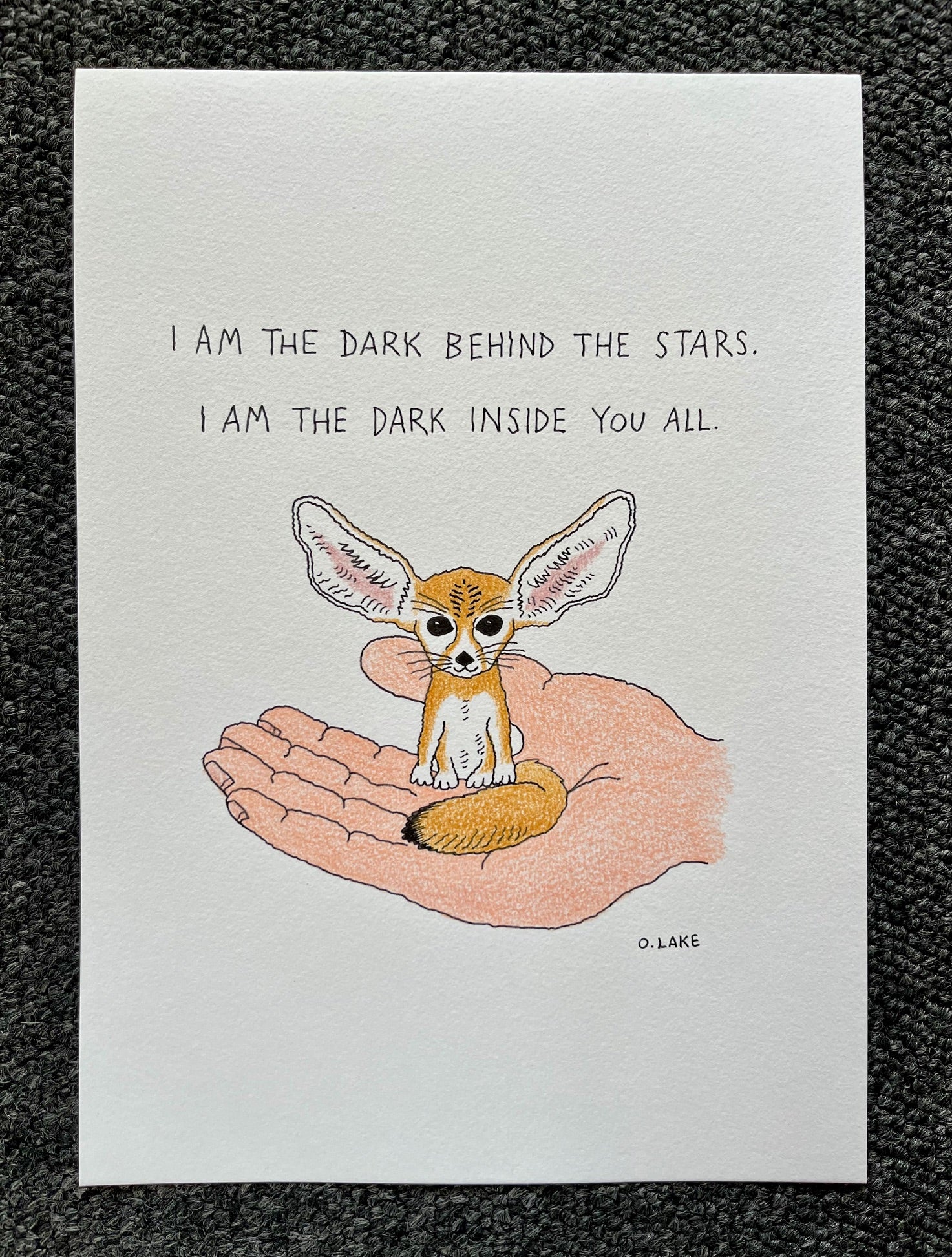 Fennec Fox The Fierce