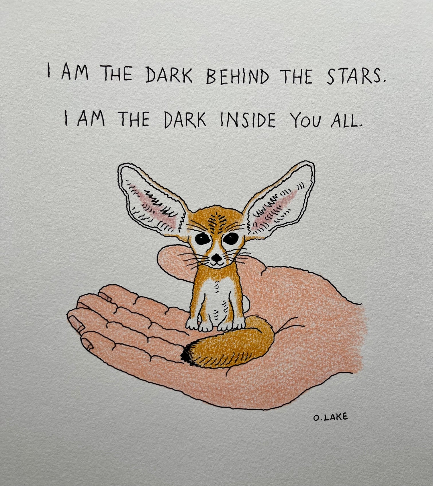 Fennec Fox The Fierce