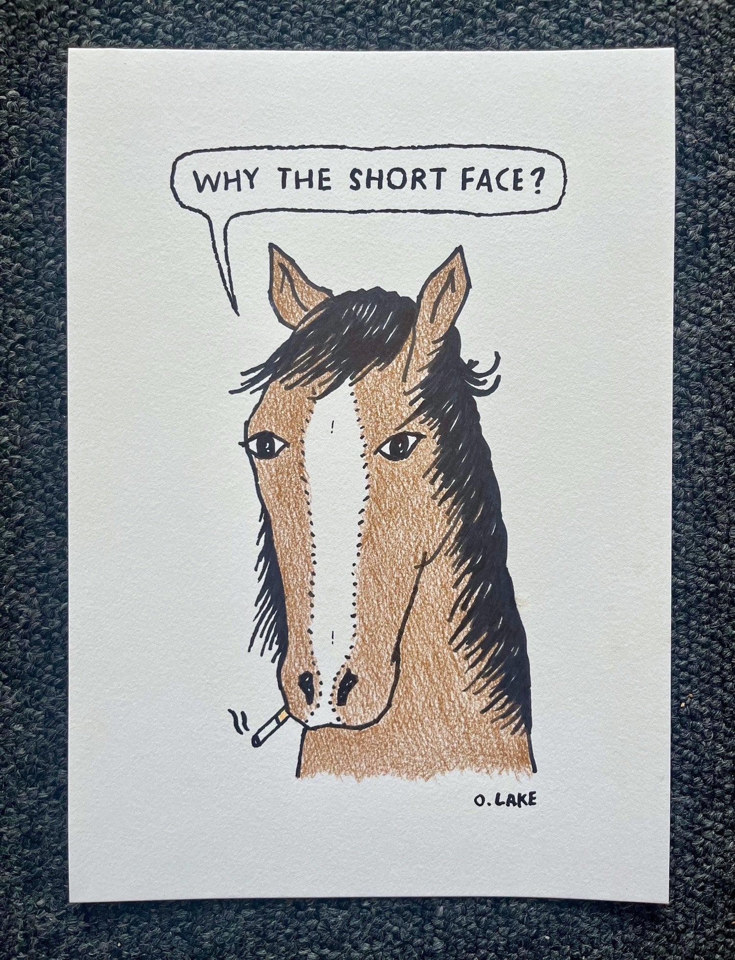 Straight From The Horses Mouth - original drawing - One Of A Kind
