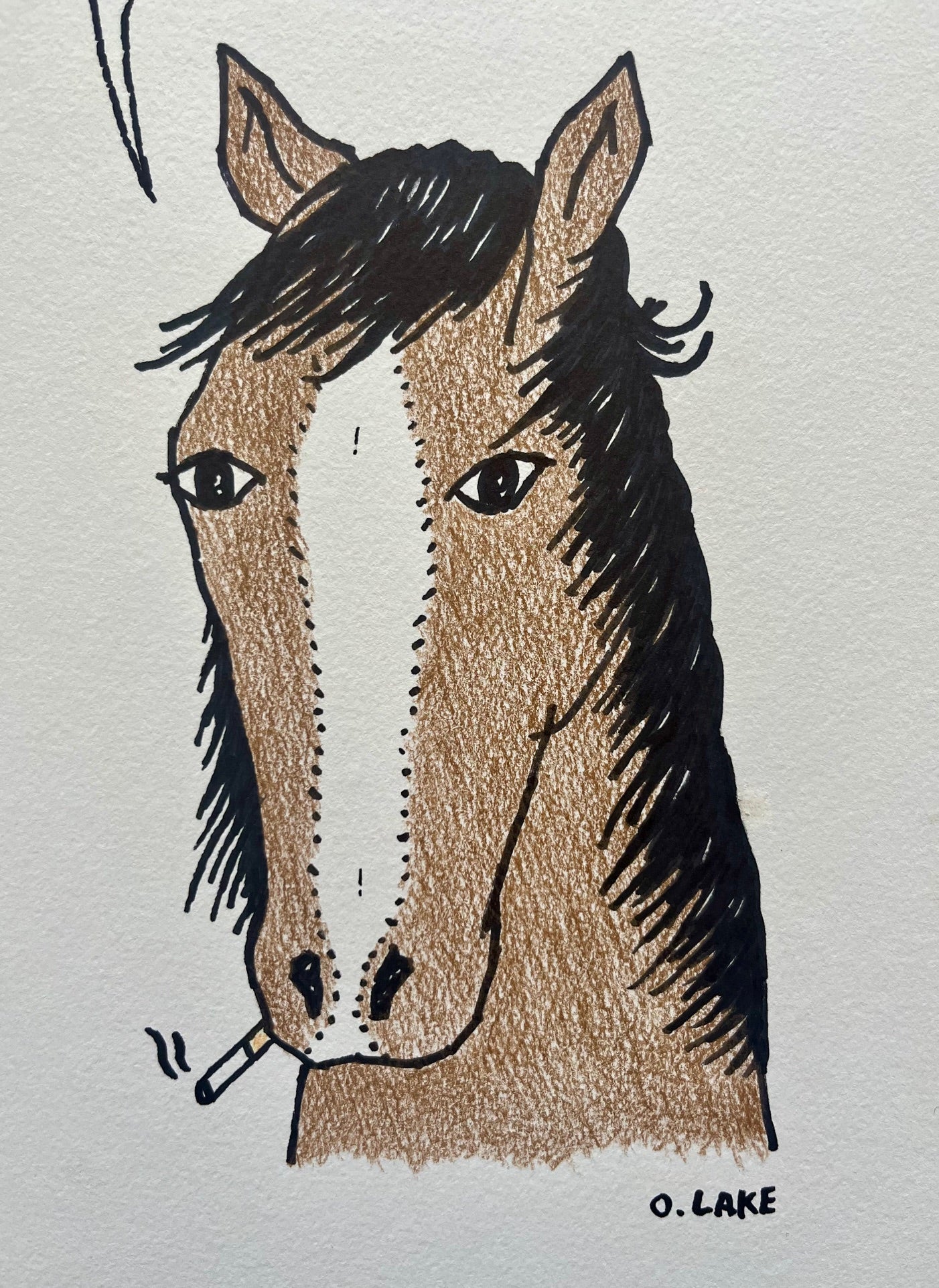 Straight From The Horses Mouth - original drawing - One Of A Kind