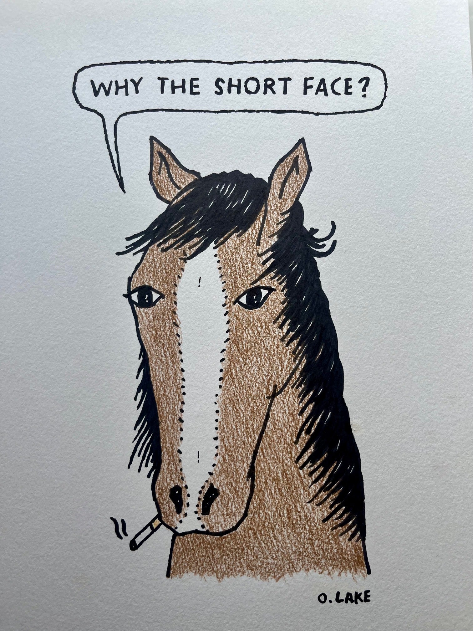 Straight From The Horses Mouth - original drawing - One Of A Kind