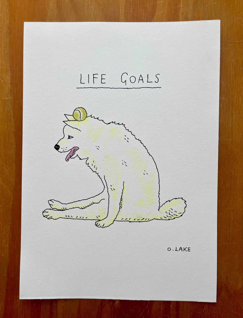 Life Goals - original drawing - 1/10
