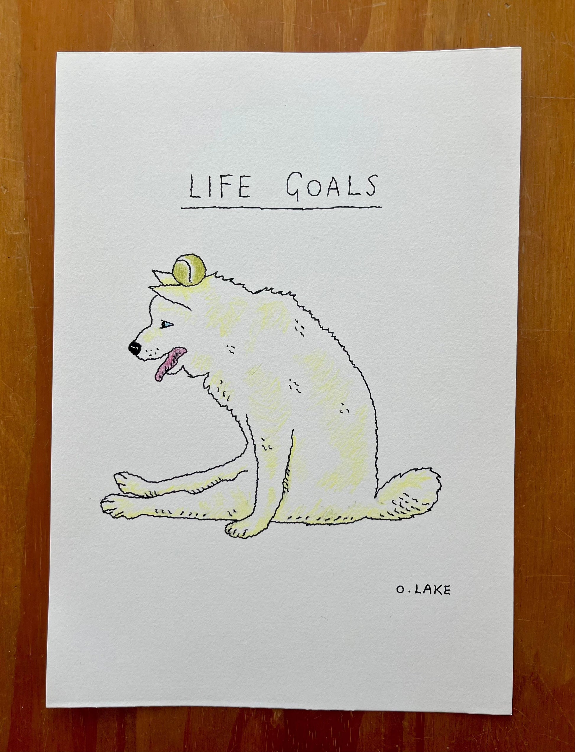 Life Goals - original drawing - 1/10