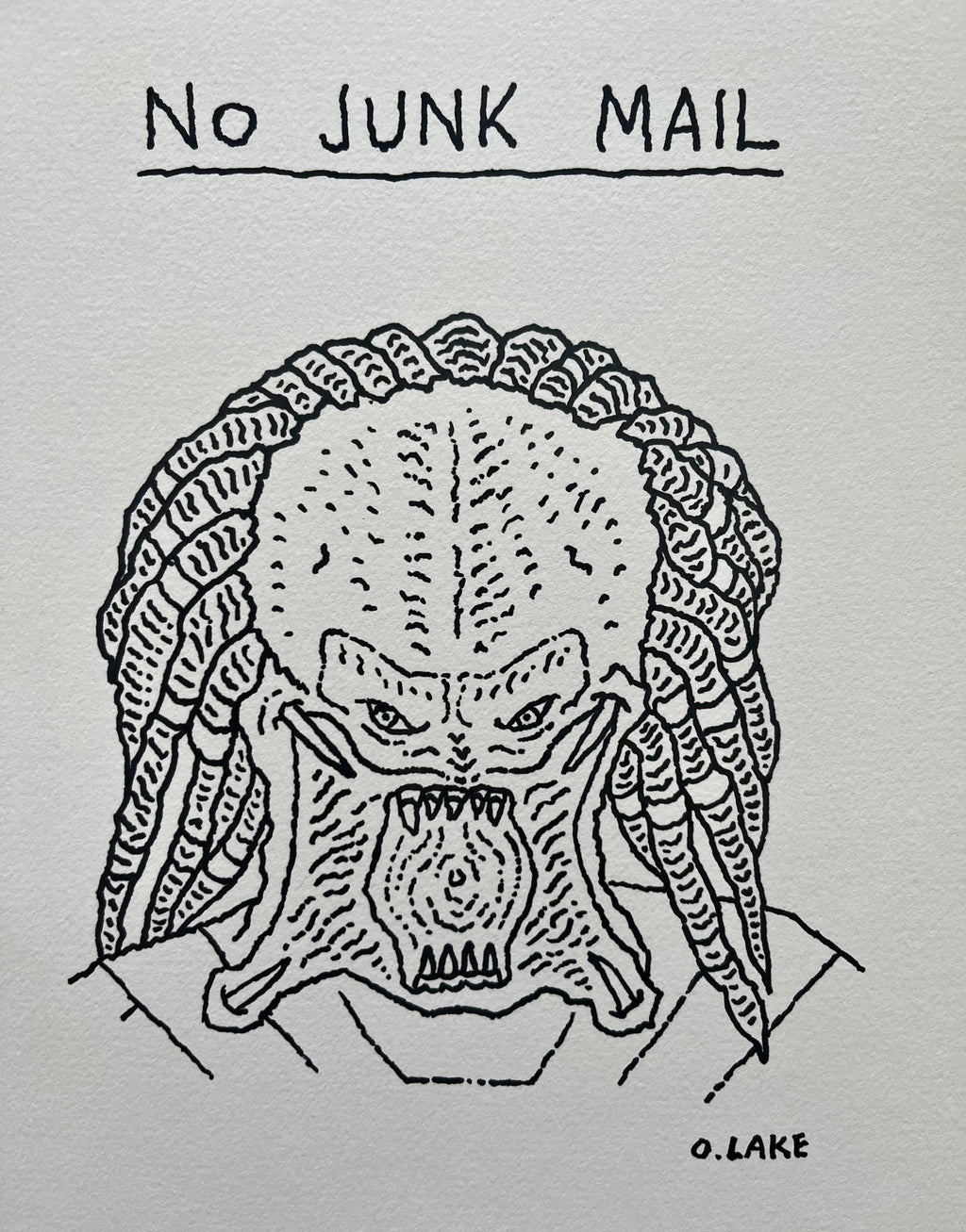No Junk Mail - original drawing