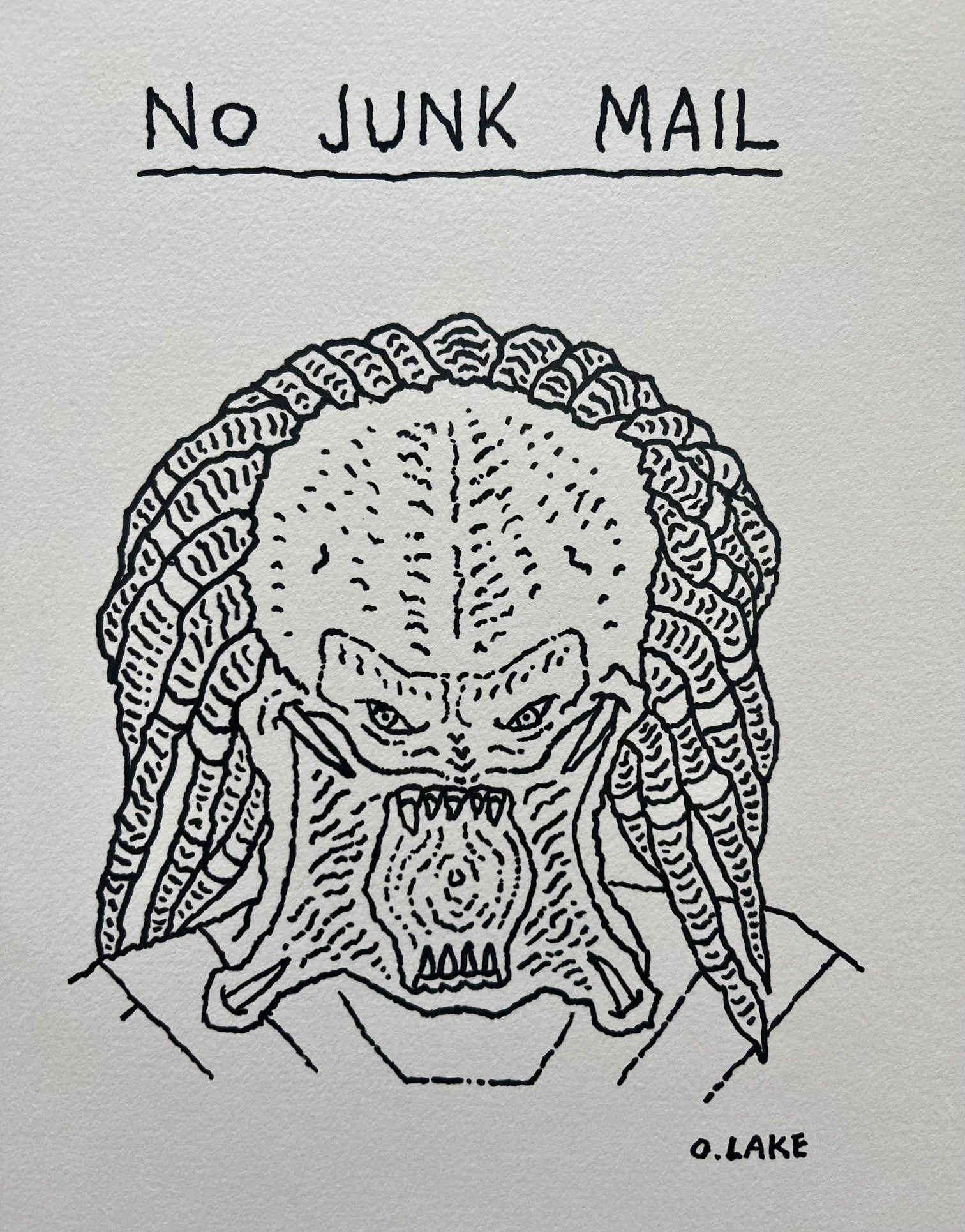 No Junk Mail - original drawing