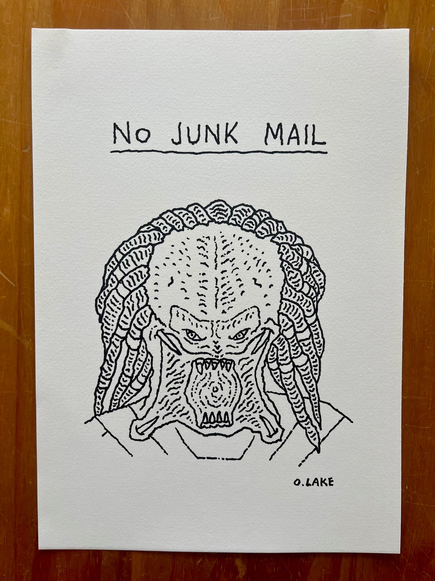 No Junk Mail - original drawing