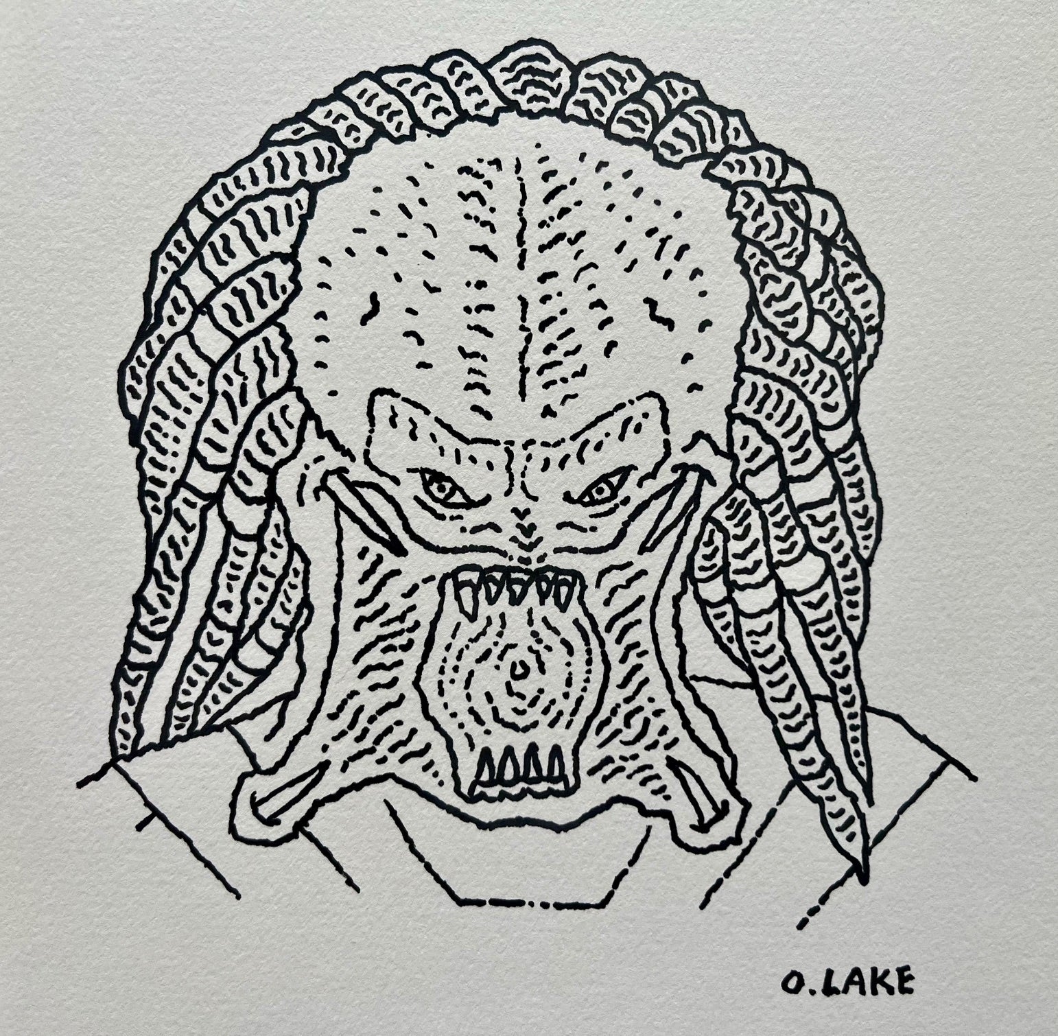 No Junk Mail - original drawing