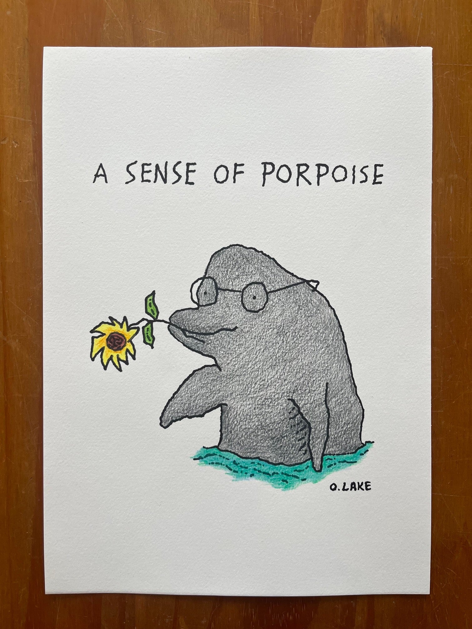 A Sense Of Porpoise - original  drawing