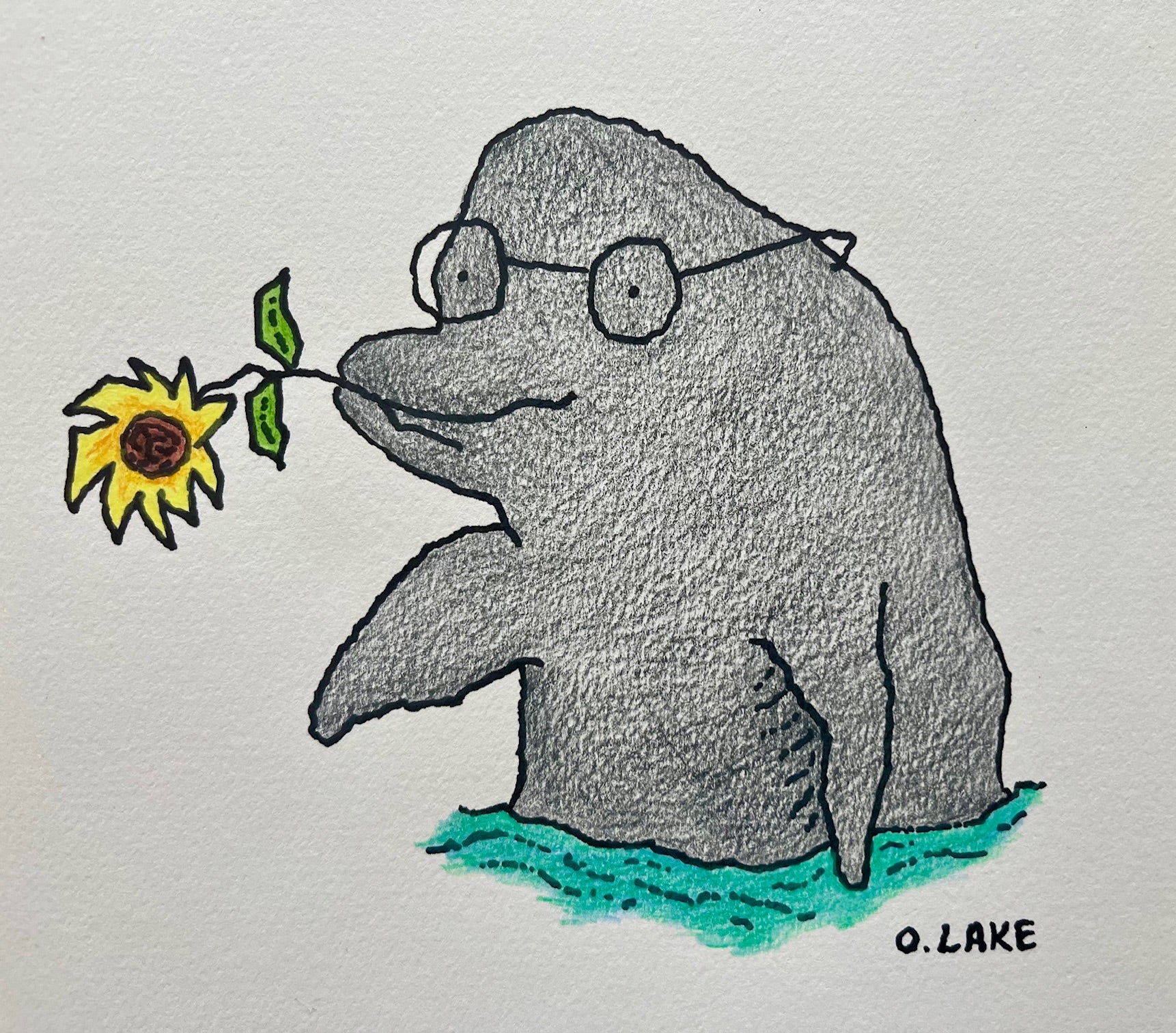 A Sense Of Porpoise - original  drawing