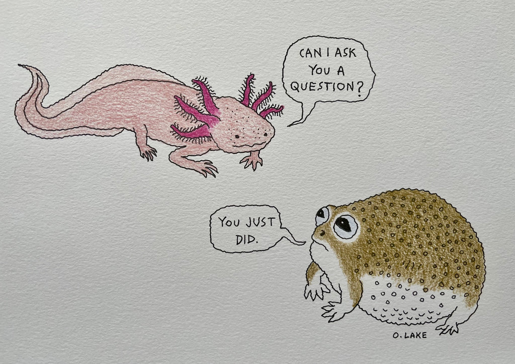 Small Talk - original drawing - axolotl, desert frog art