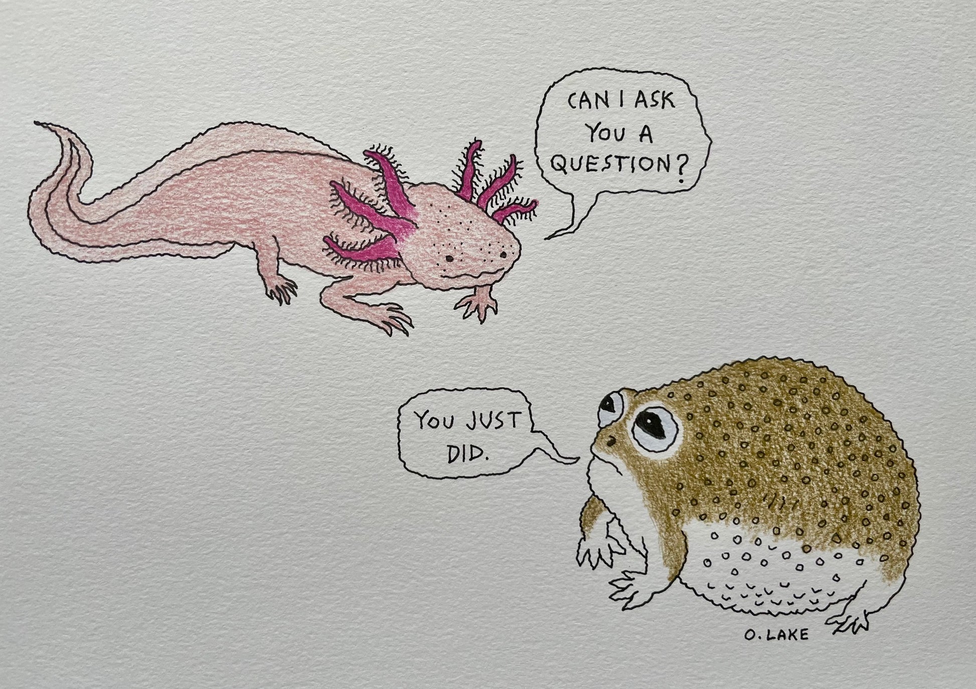 Small Talk - original drawing - axolotl, desert frog art