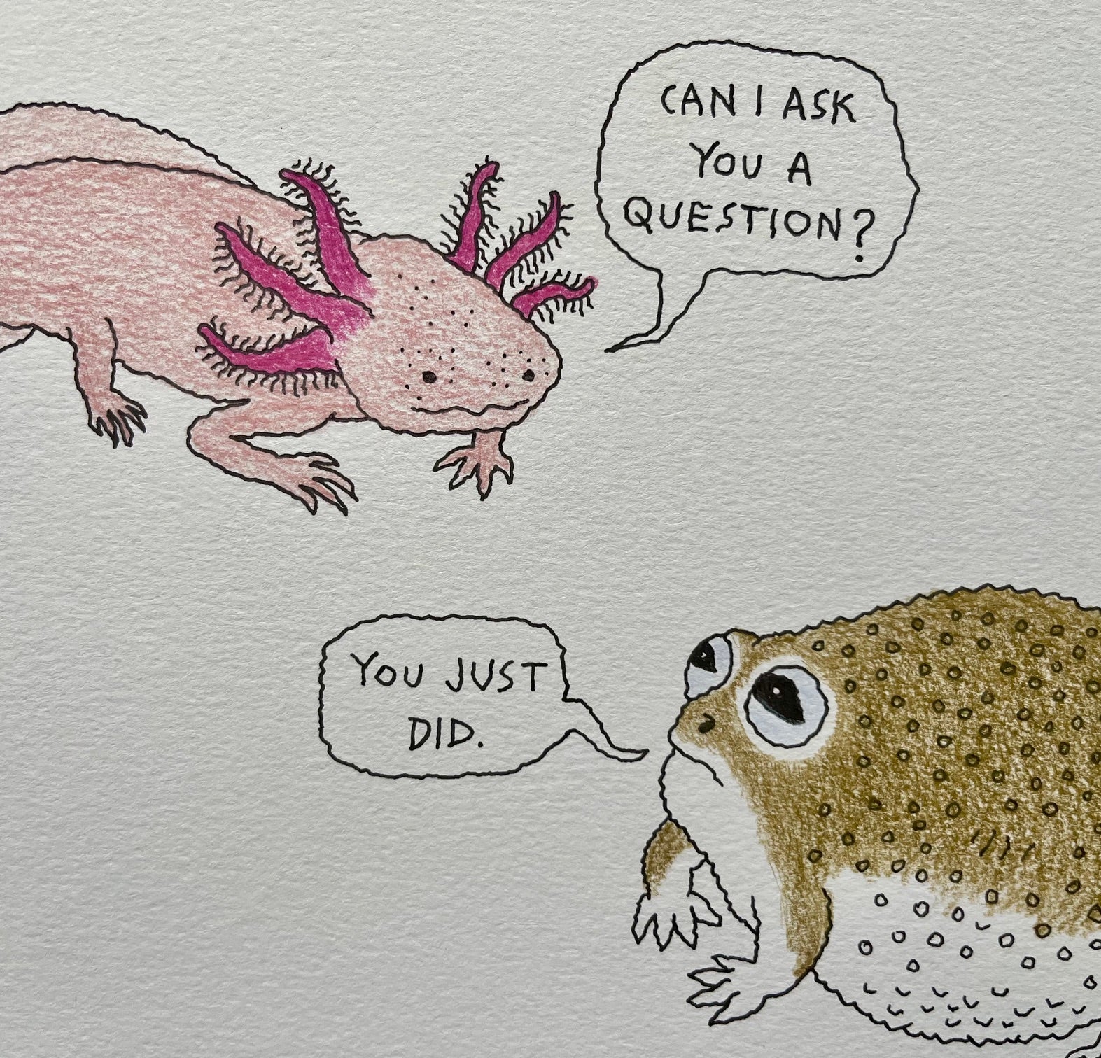 Small Talk - original drawing - axolotl, desert frog art