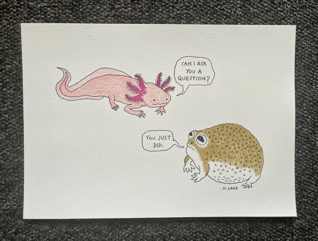 Small Talk - original drawing - axolotl, desert frog art