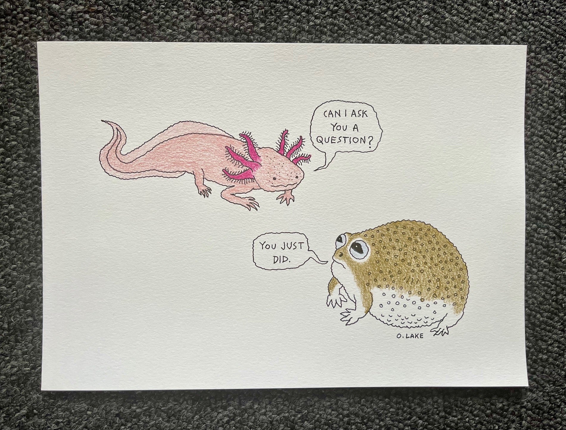Small Talk - original drawing - axolotl, desert frog art