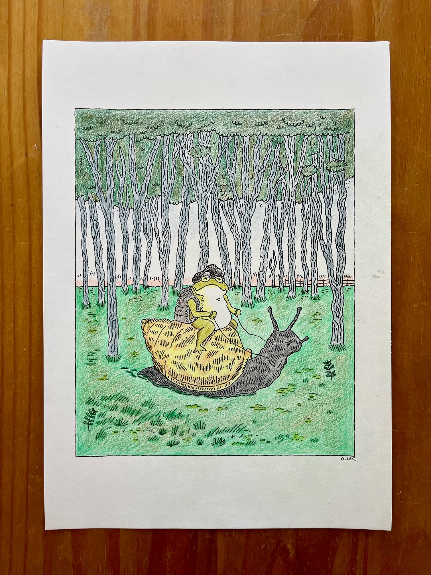 The Snail and The Frog
