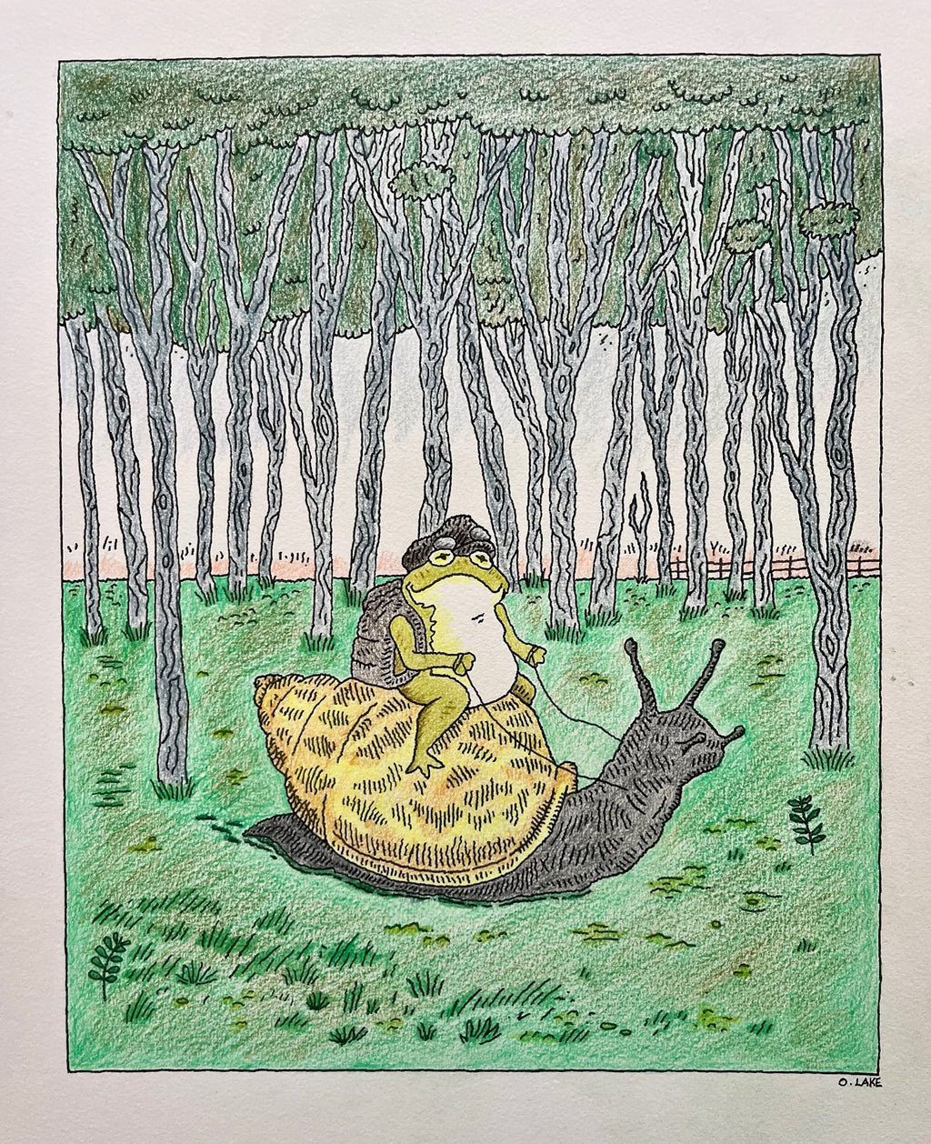 The Snail and The Frog