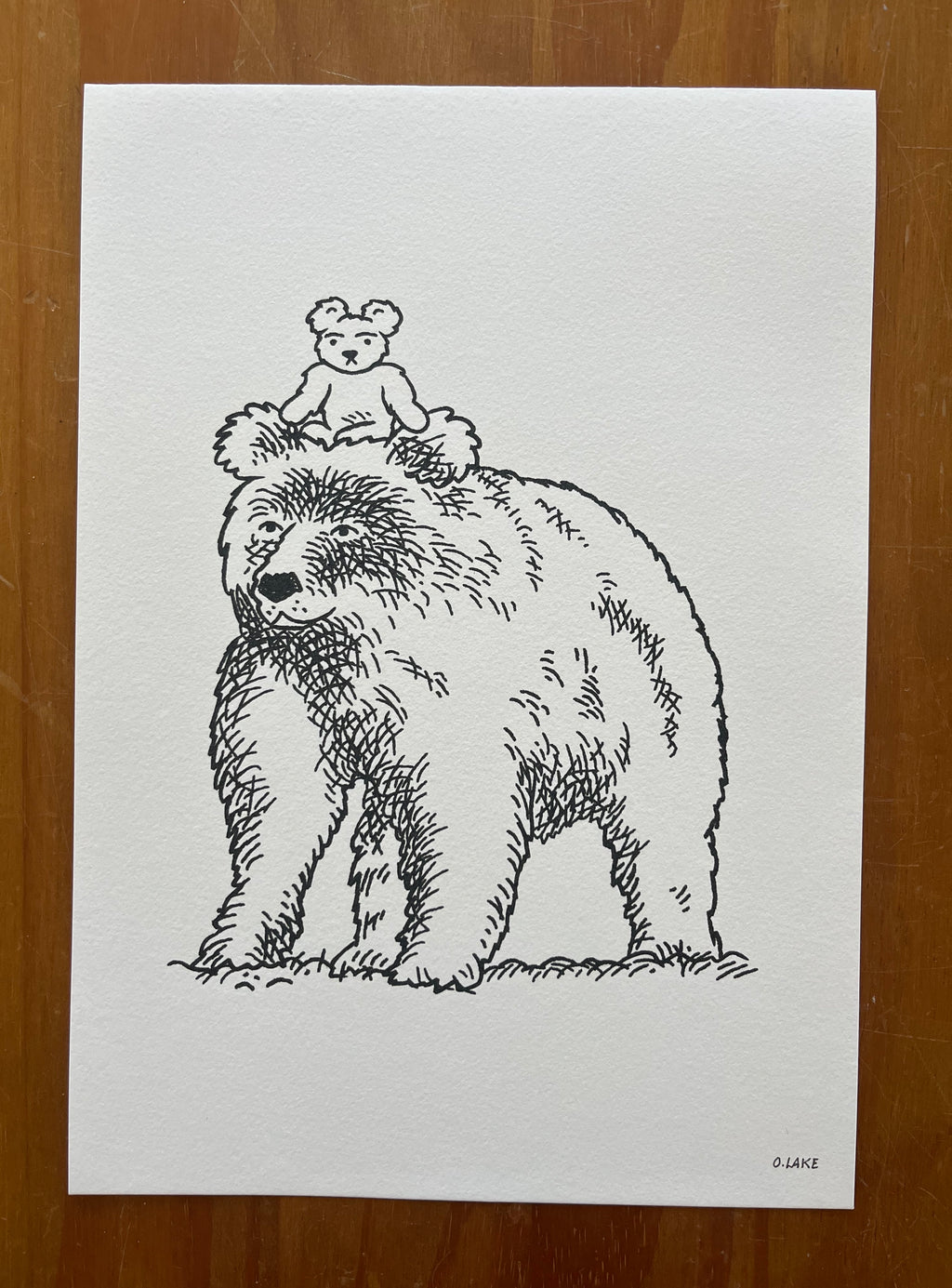 Teddy and the Bear - limited edition print - A4
