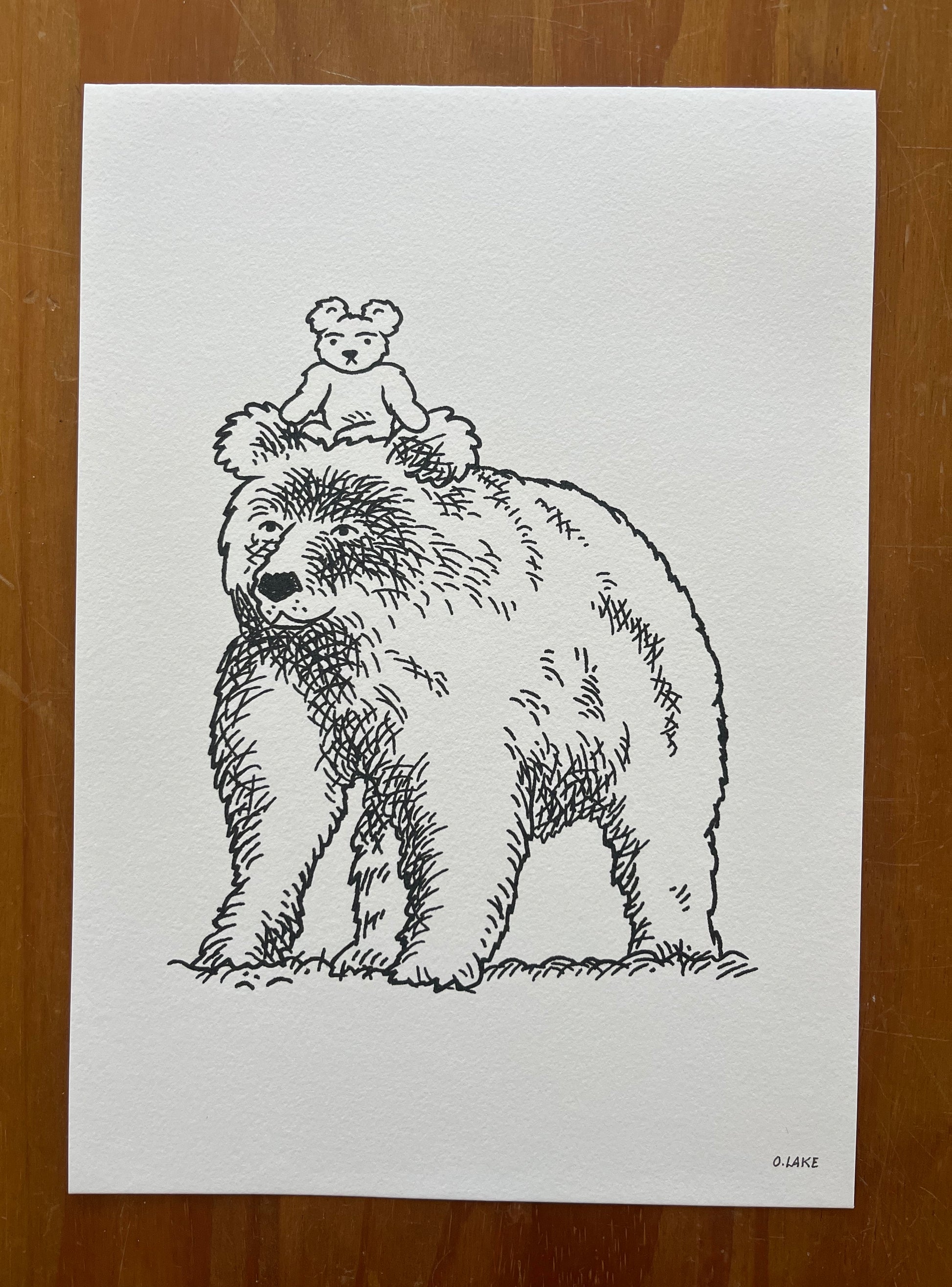 Teddy and the Bear - limited edition print - A4