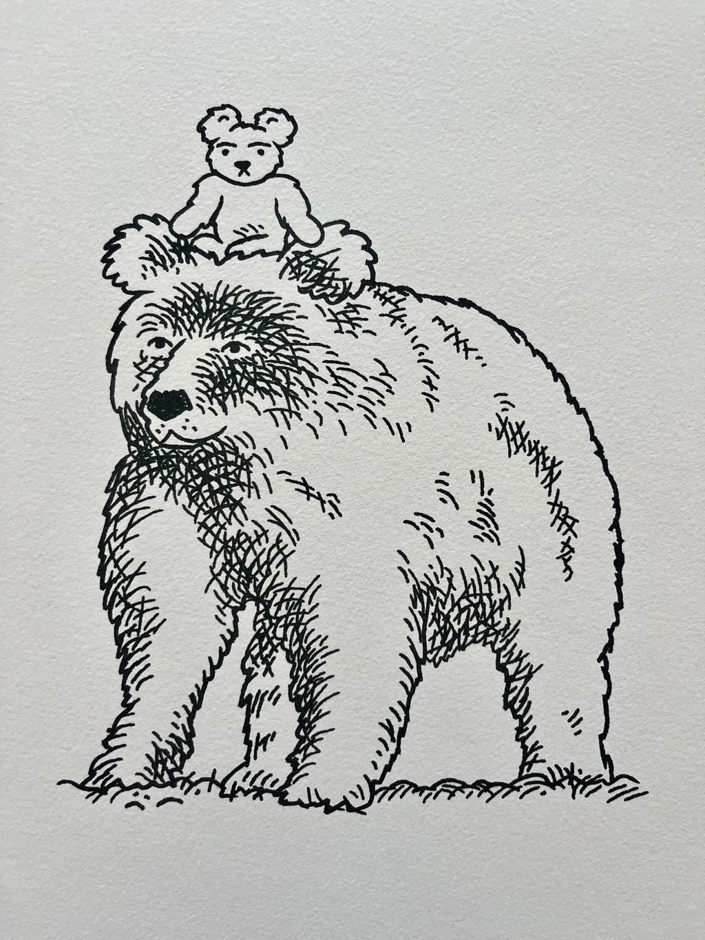 Teddy and the Bear - limited edition print - A4