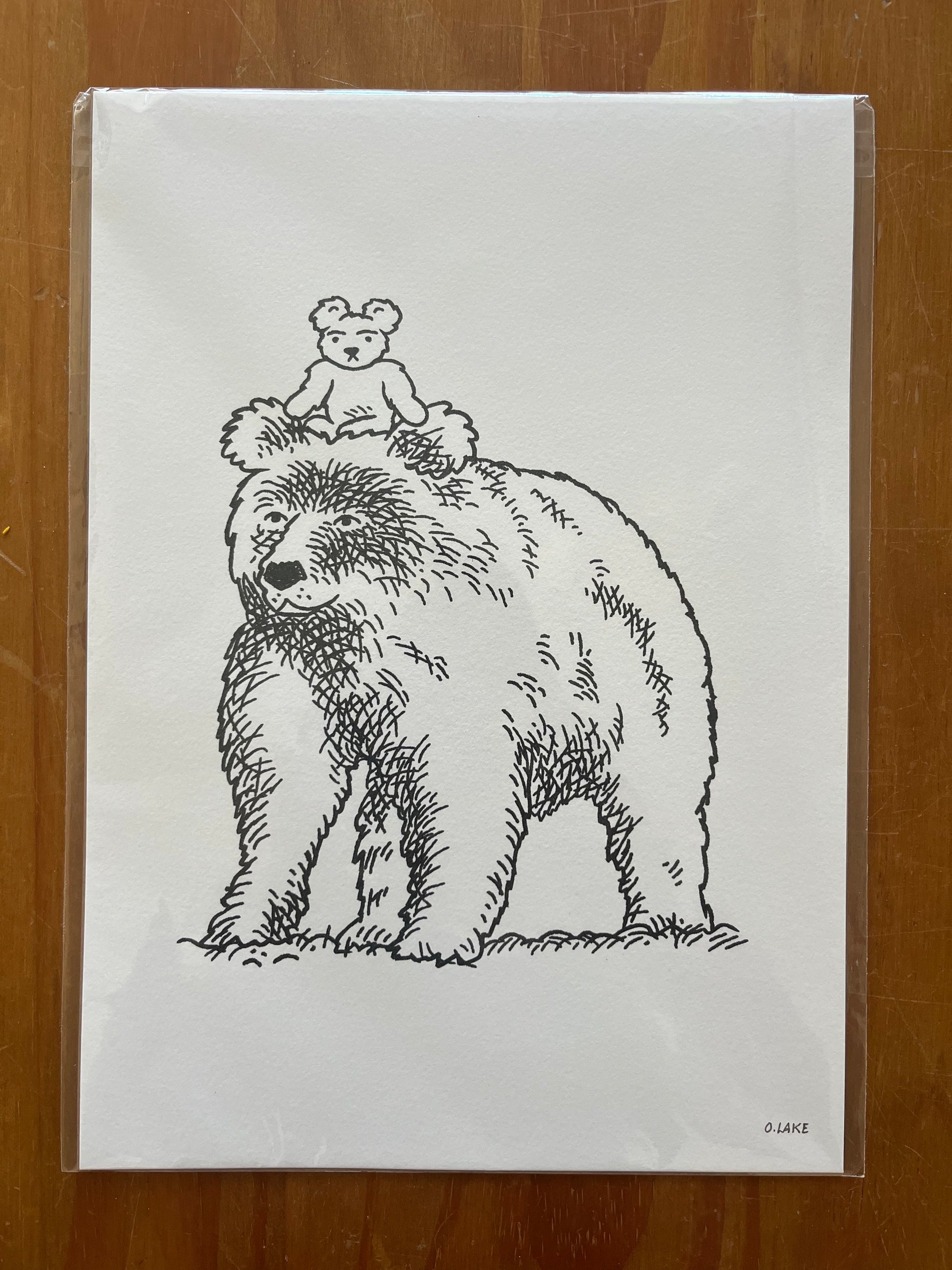 Teddy and the Bear - limited edition print - A4