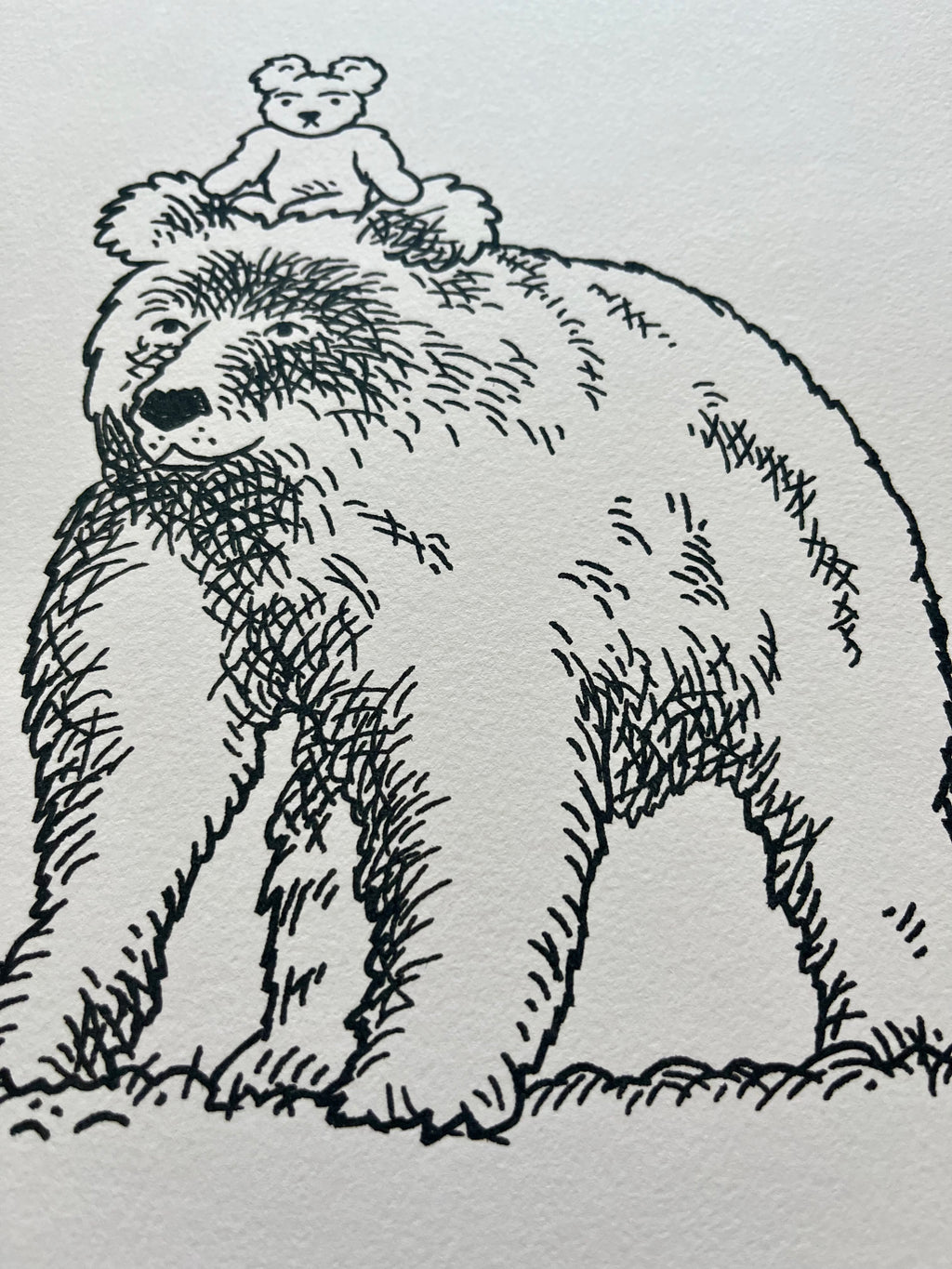 Teddy and the Bear - limited edition print - A4
